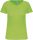 Kariban Bio150Ic Férfi Környakú Póló Lime